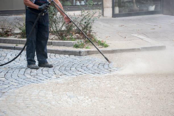 Best Driveway Cleaning and Restoration in Platte City, MO